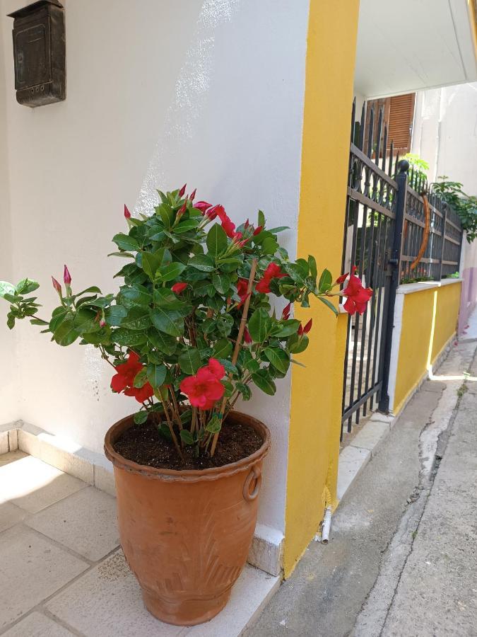 Stefanos Family Apartment Λευκάδα Εξωτερικό φωτογραφία